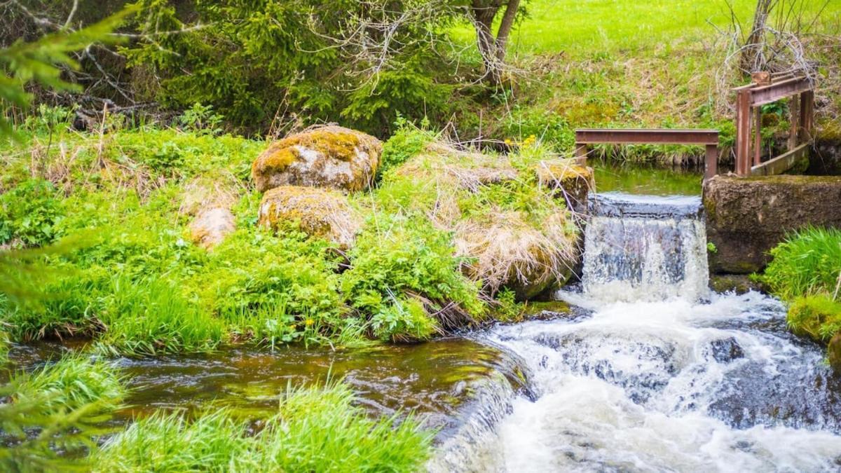 Schwarzwald Lodge Inselklause Schönwalde Eksteriør billede